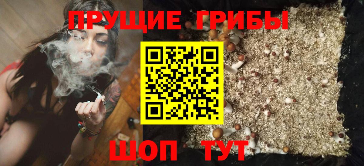 Псилоцибиновые грибы MAGIC MUSHROOMS Волжск