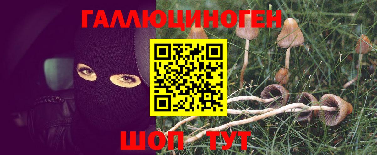 Волжск  Псилоцибиновые грибы Magic Shrooms  Вход с VPN 